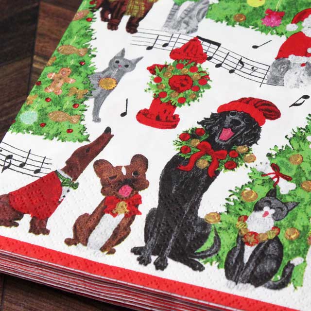 ペーパーナプキン ペーパータオル 楽譜 ペット 音楽雑貨 音楽グッズ