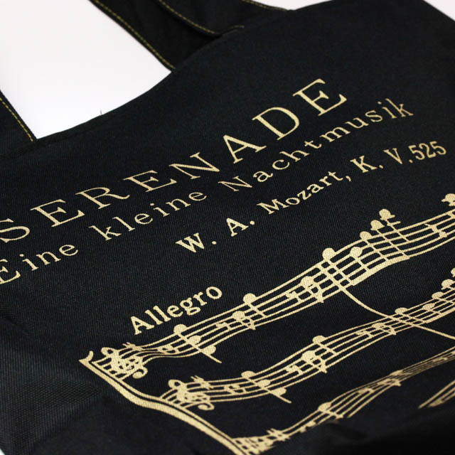 レッスンバッグ アイネクライネ 楽譜 音楽雑貨