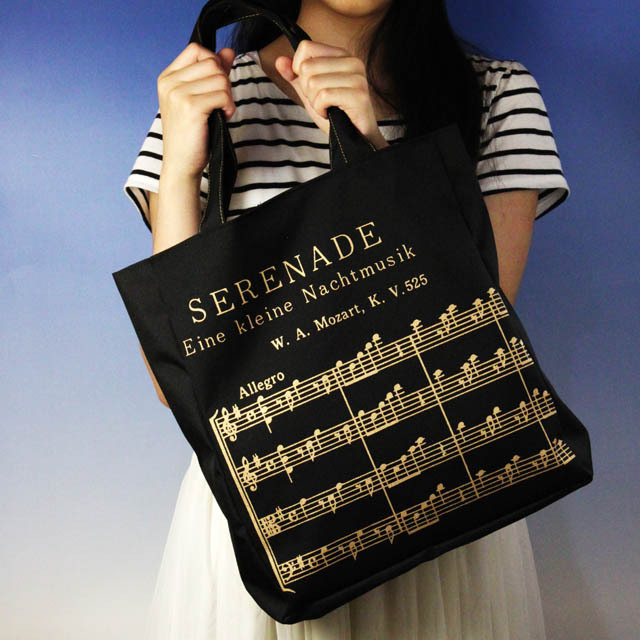 レッスンバッグ アイネクライネ 楽譜 音楽雑貨