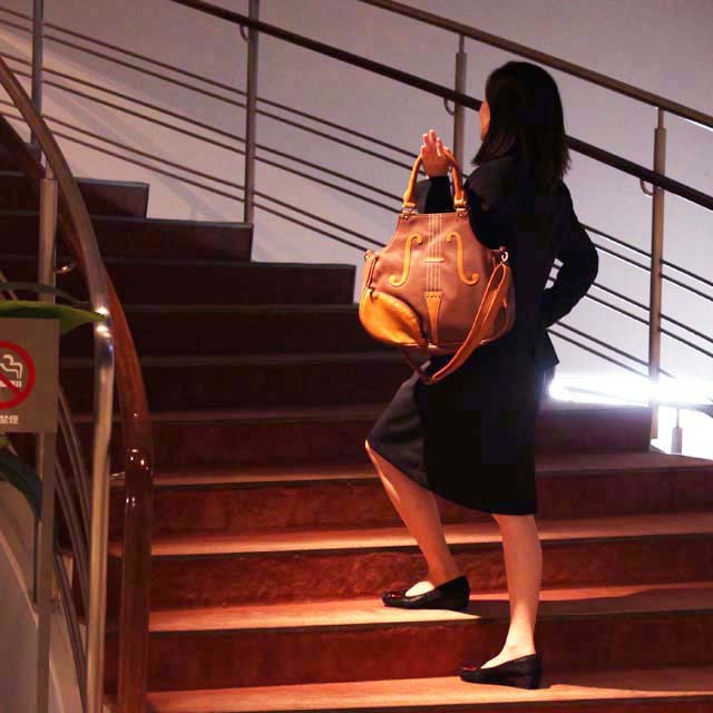 弦楽器 2wayバッグ 音楽雑貨 音楽グッズ 音楽ギフト ヴァイオリン ヴィオラ Violin Viola