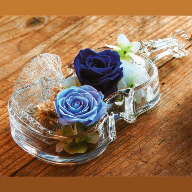 アクリル トレイ 弦楽器 《シャンパンゴールド》 289818 音楽雑貨