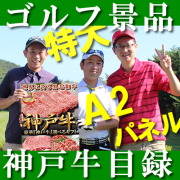 神戸牛 ギフト 目録 パネル セット