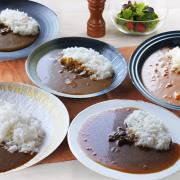 お中元 肉 内祝い お返し お肉 誕生日 お祝い 結婚祝い 名店グルメ 名店カレー物語4種×2、１種×1 送料無料 熨斗対応可 夏ギフト