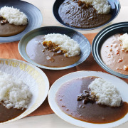 お中元 肉 内祝い お返し お肉 誕生日 お祝い 結婚祝い 名店グルメ 名店カレー物語5種×2、１種×1 送料無料 熨斗対応可 夏ギフト