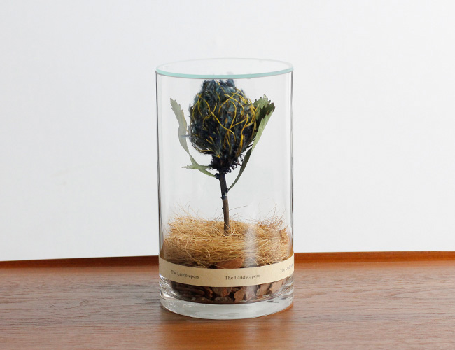 The Landscapers DRY CYLINDER INDIGO DYE