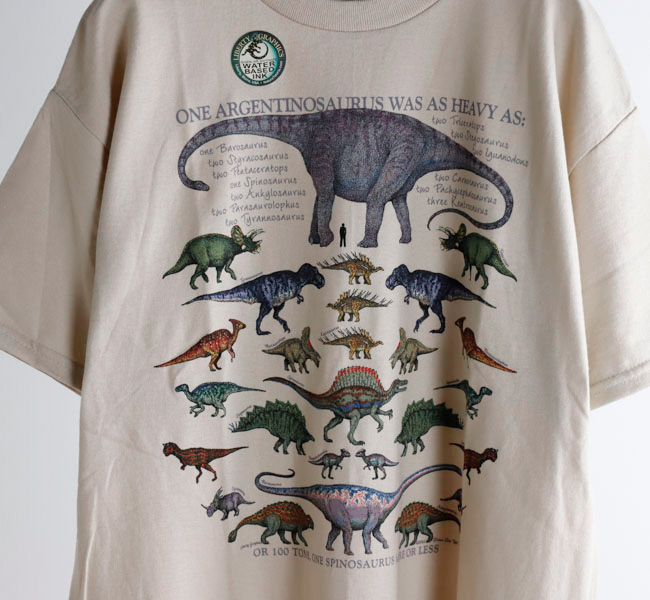 90s バード 鳥 プリントTシャツ シルクスクリーン アート アッシュグレー 90s バード 鳥 プリントTシャツ シルクスクリーン アート