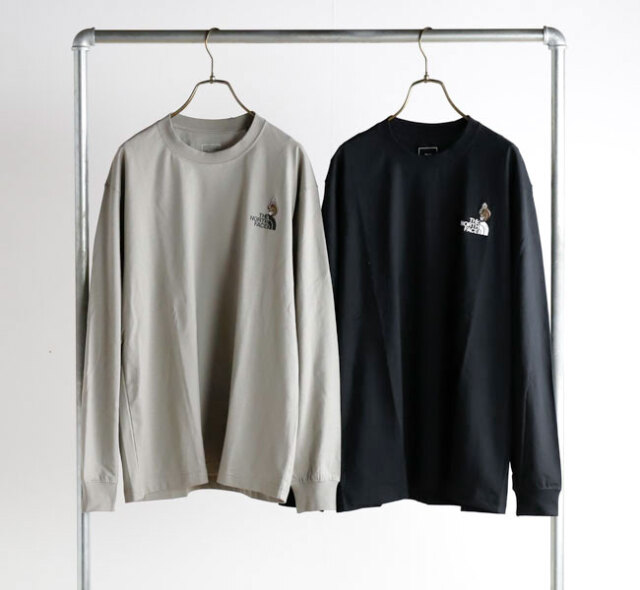 THE NORTH FACE ザノースフェイス NT82645 ロングスリーブフラッシュドライズーピッカーティー 長袖Tシャツ