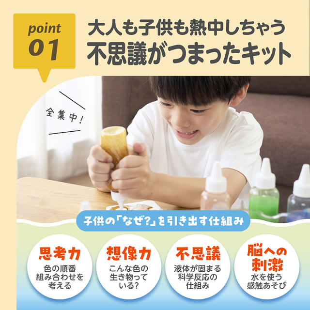 ぷにょぷにょアクアリウム_12色セット_海のなかまたち_01：大人も子供も熱中しちゃう／不思議がつまったキット