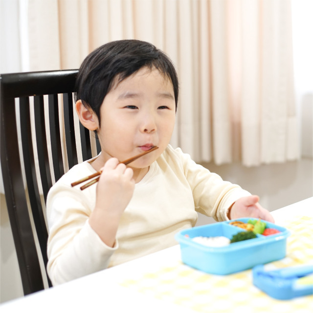 天然木のお箸 天然木のお箸