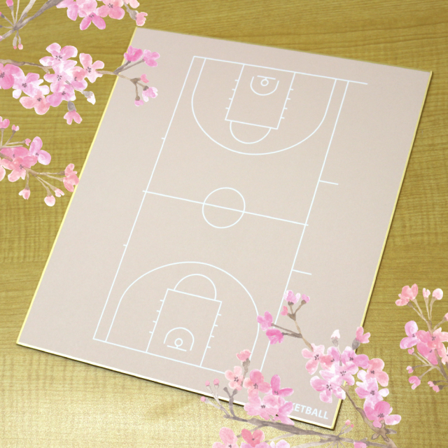 日本製バスケ色紙　コート柄