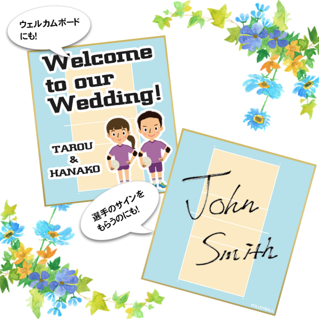 日本製バレーボール色紙　コート柄