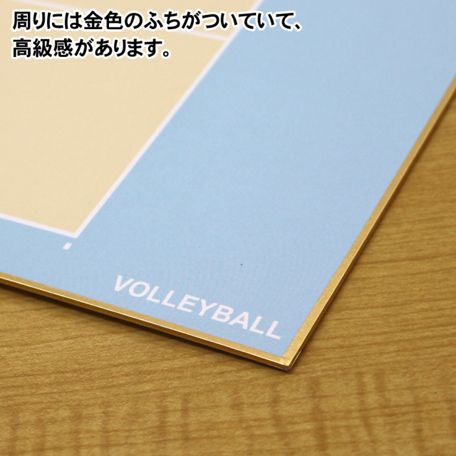 日本製バレーボール色紙　コート柄