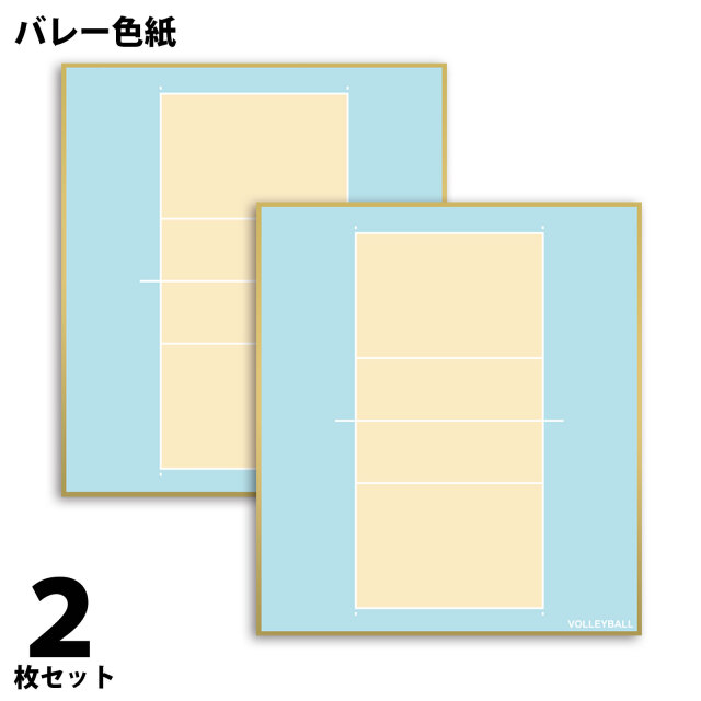 バレー色紙　2枚組