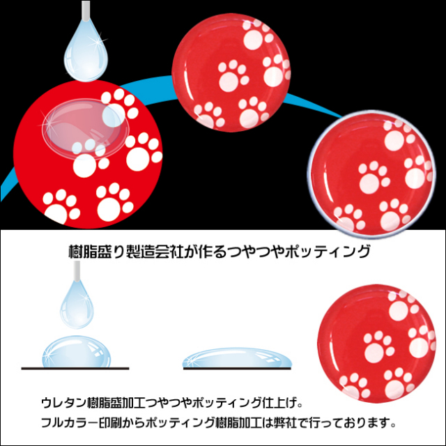 プロモラン　あしあと柄(レッド)