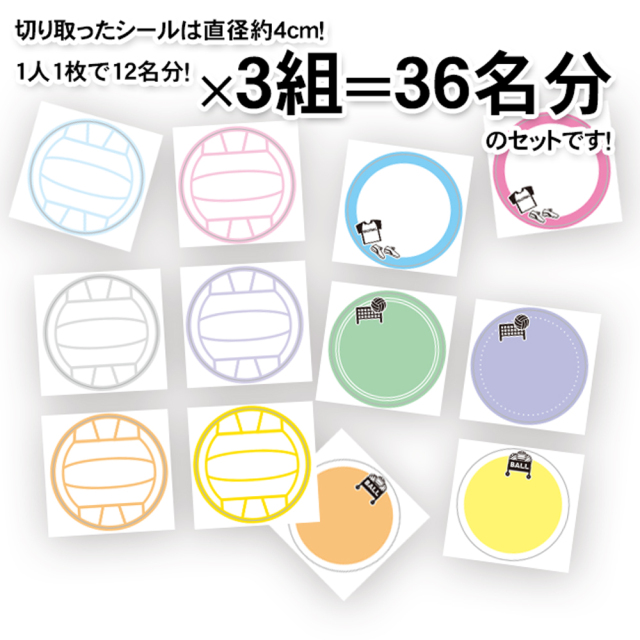 色紙シール　バレーボール
