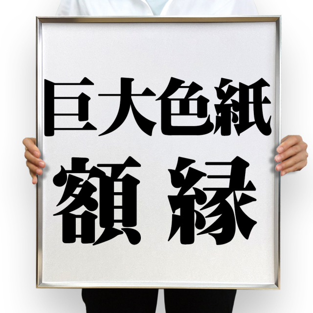 額縁 色紙額 ガラス 名あり 見る