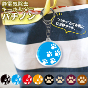 静電気除去キーホルダー　パチノン