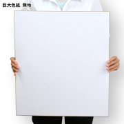 巨大色紙　大人数用　無地
