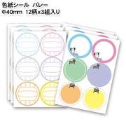 色紙シール　バレーボール