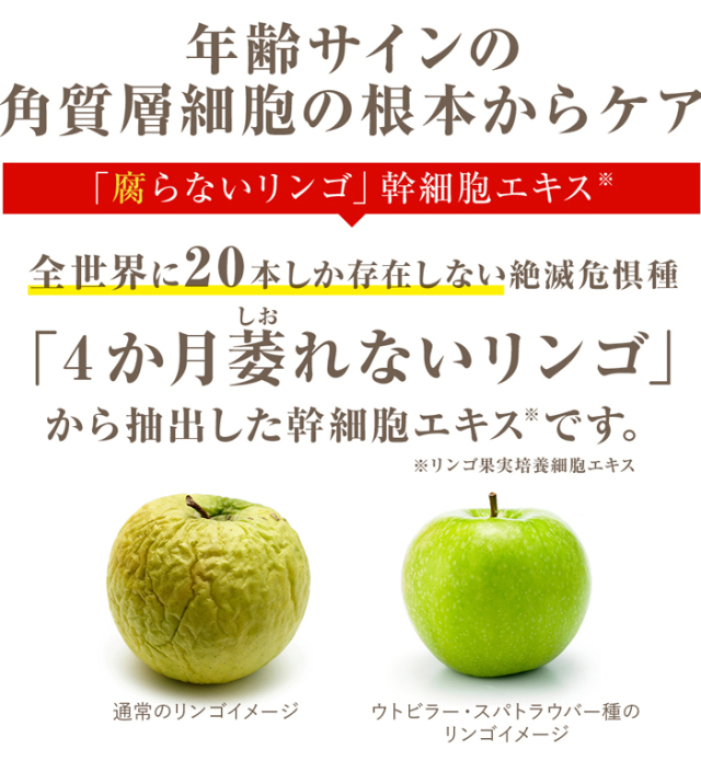 目元口元あらゆるエイジングサインにステムショットアイセラム 目元口元あらゆるエイジングサインにステムショットアイセラム