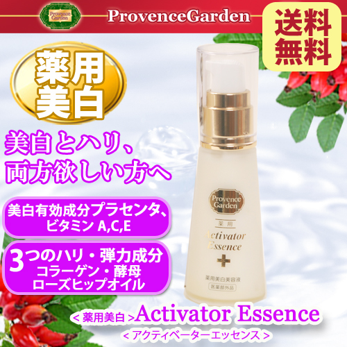 ��������Activator�����ƥ��١������å���