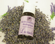 HL_LVDFN2　ソー産ラベンダーエッセンシャルオイル10ml