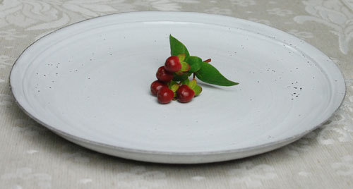 メインプレート （BASTIDE バスティード） BST_ASS