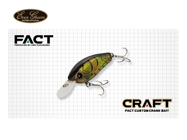 エバーグリーン/FACT　クラフト