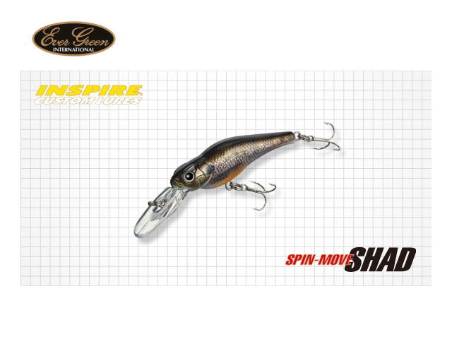 エバーグリーン　スピンムーブシャッド