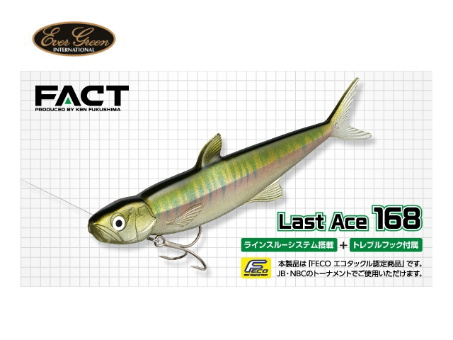 エバーグリーン/FACT　ラストエース168 【16.8cm】 FECO認定