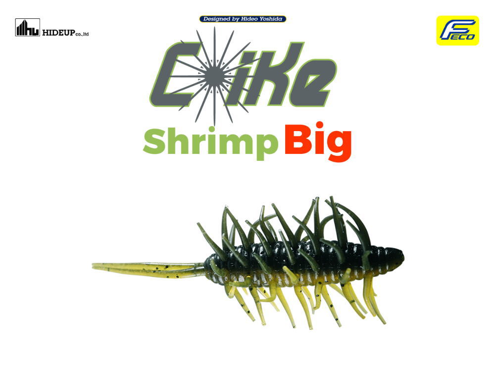ハイドアップ　コイケシュリンプ ビッグ FECO認定