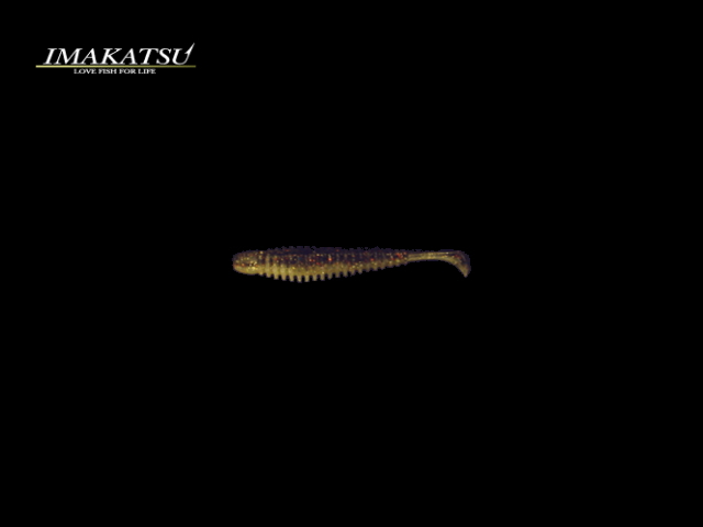 イマカツ　アンクルゴビー 【2.5インチ】 FECO認定