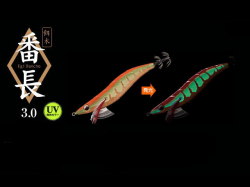 エバーグリーン　エギ番長 【3.0号】 UV発光カラー