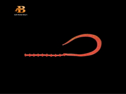 ソルトウォーターボーイズ　マジカルワーム カーリー