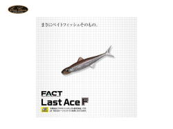 エバーグリーン/FACT　ラストエース110F 【11.0cm】 FECO認定