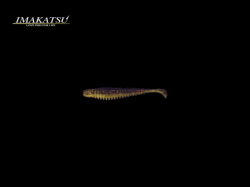 イマカツ　アンクルゴビー 【2.5インチ】 FECO認定