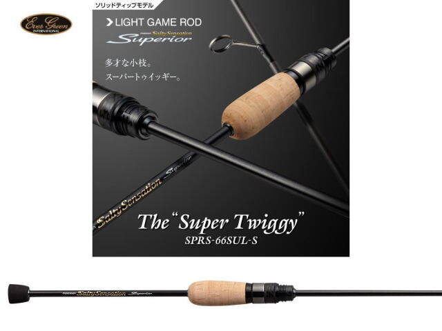 エバーグリーンソルティーセンセーションPSSS_82Tロッキーハンツマン 