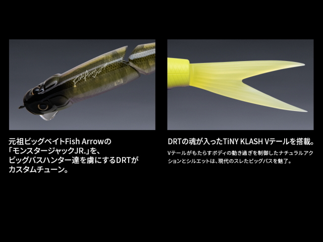 フィッシュアロー×DRTライザージャック#ビワサギ RiSER JACK - Fish Arrow