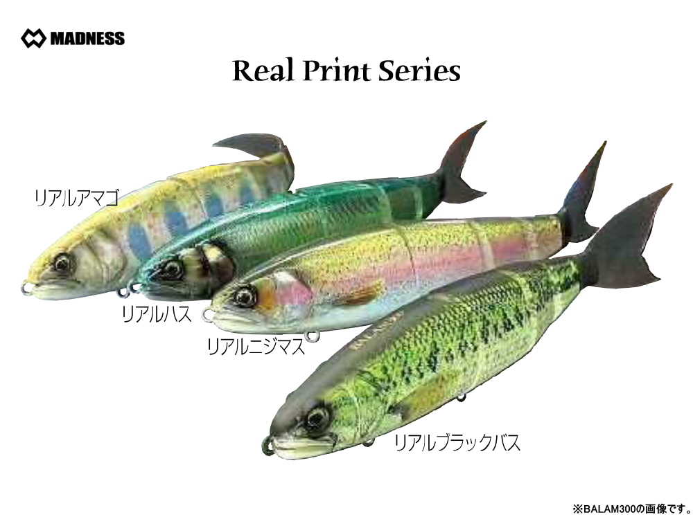 マドネスジャパン　BALAM（バラム）245 リアルプリントシリーズ