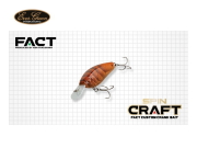 エバーグリーン/FACT　スピンクラフト