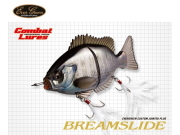 エバーグリーン　ブリムスライド