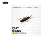エバーグリーン/FACT　ゲジー 【1.8インチ】 FECO認定