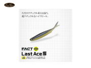 エバーグリーン/FACT　ラストエースS