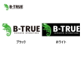 エバーグリーン/B-TRUE ボートディカル Lサイズ