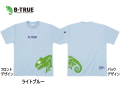 エバーグリーン/B-TRUE　ドライTシャツ 【Eタイプ】