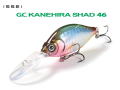 一誠/issei　G.C.カネヒラシャッド46MR-SP