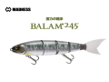 マドネスジャパン　BALAM（バラム）245