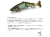 リッジテールモード