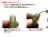 頭部下側にセンターライン