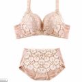 レース　ブラ＆ショーツ　タイプ１　ベージュ